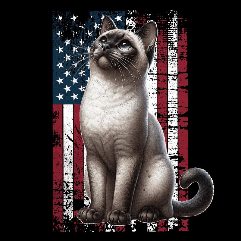 Siamese Cat US Siamkatze