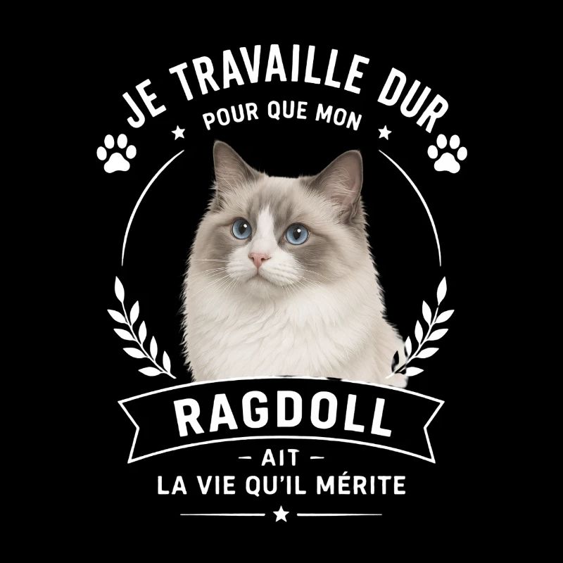 Humour chat de race Ragdoll 
