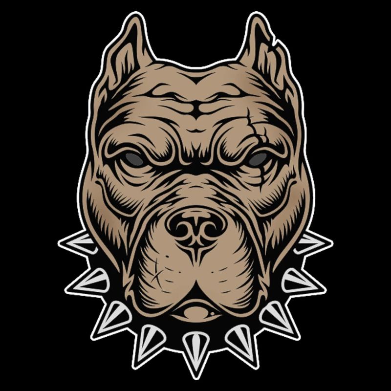 Aggressive dog