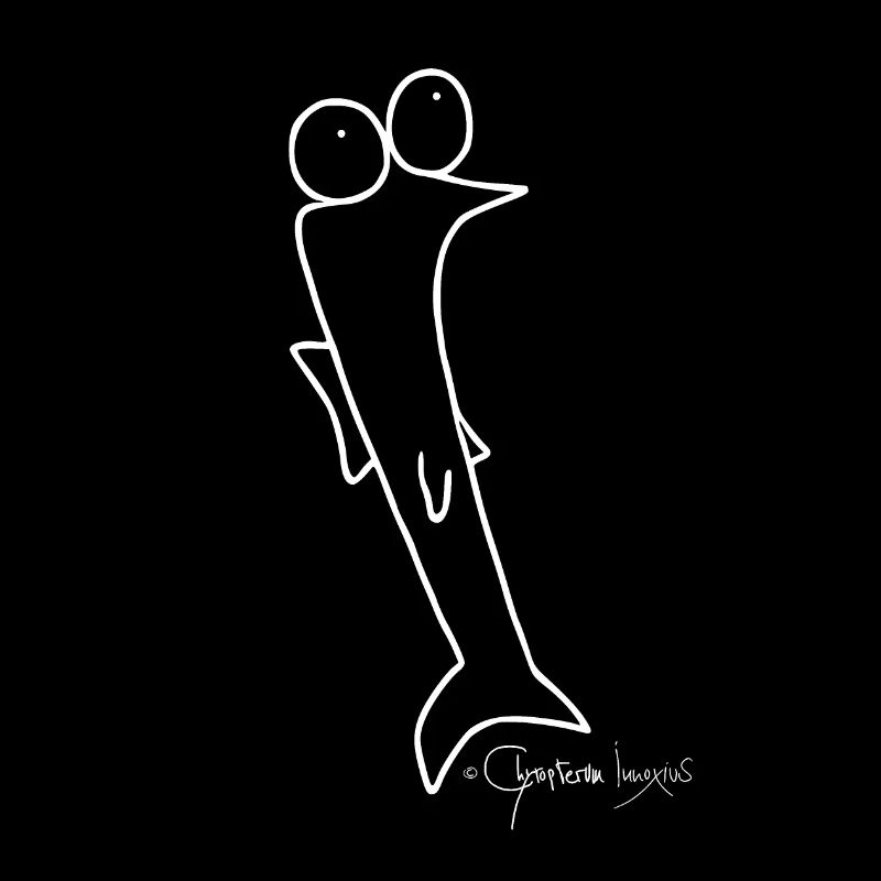 Cafard - Piscis Rutilus