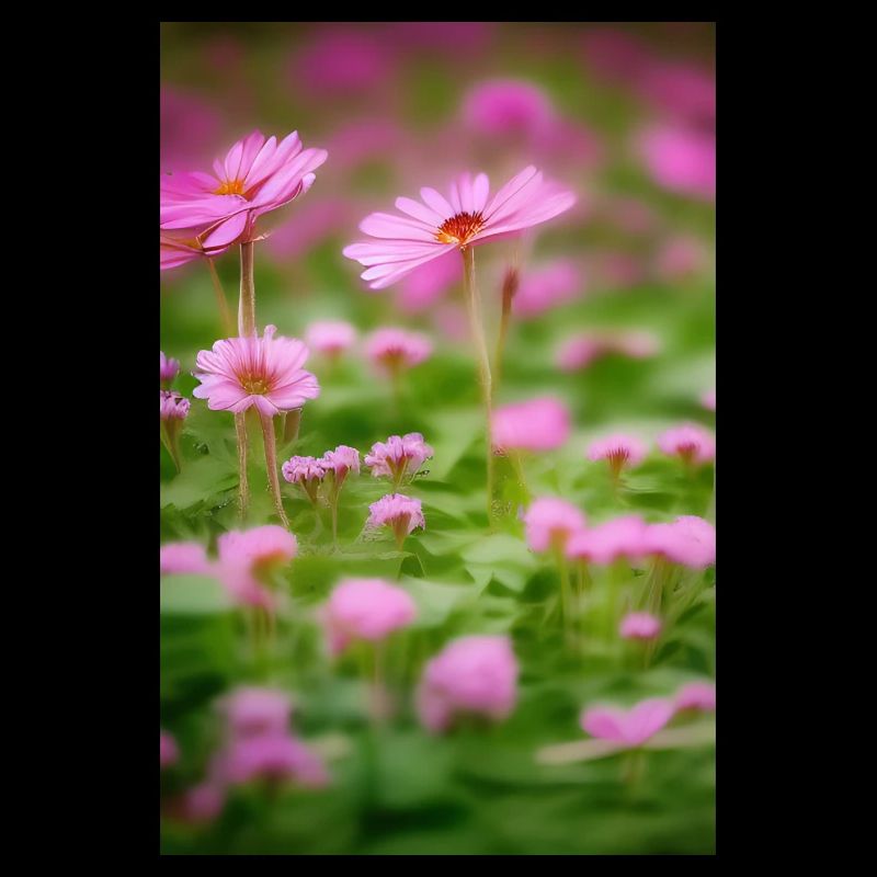 Blumen Kunst