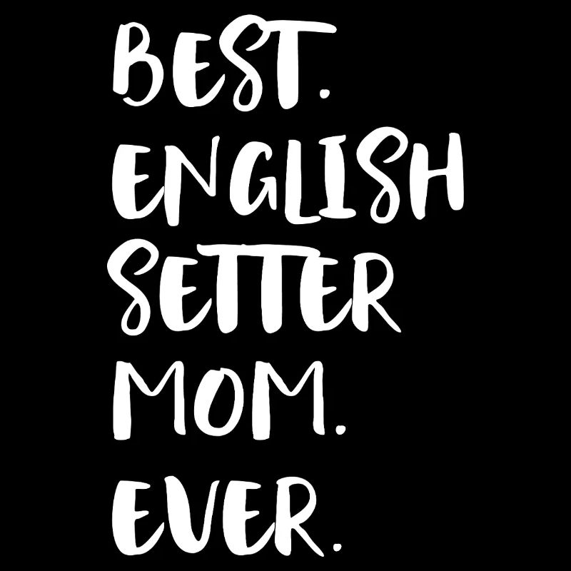 Setter anglais Setter Englischer Setter