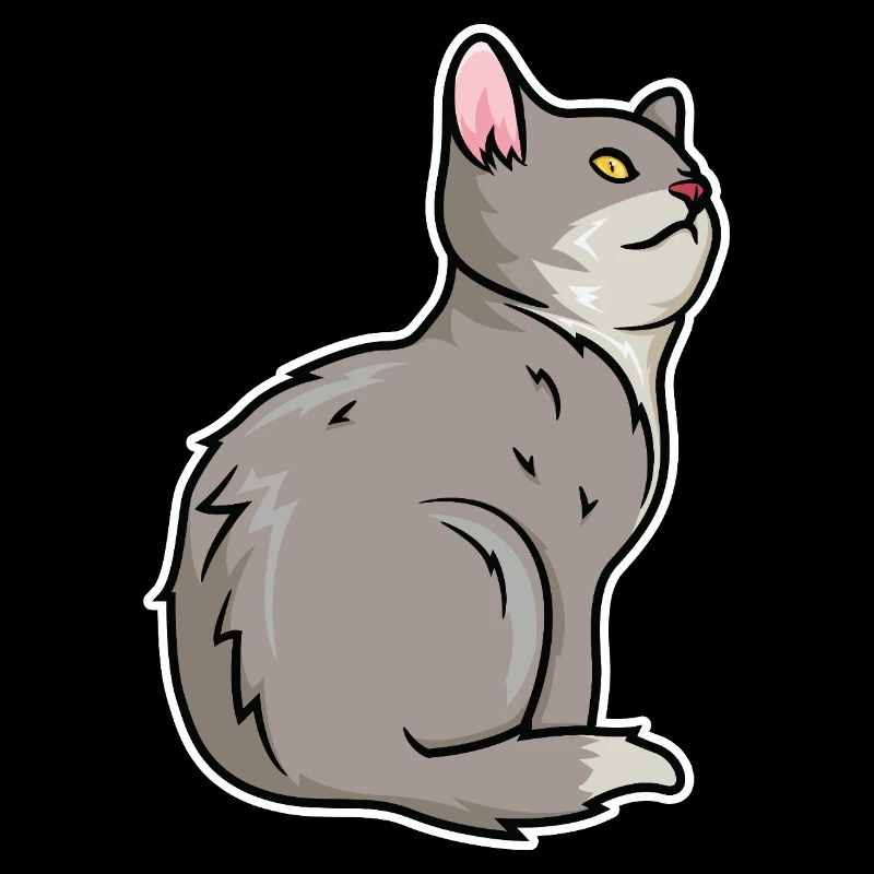 Cat Drawing