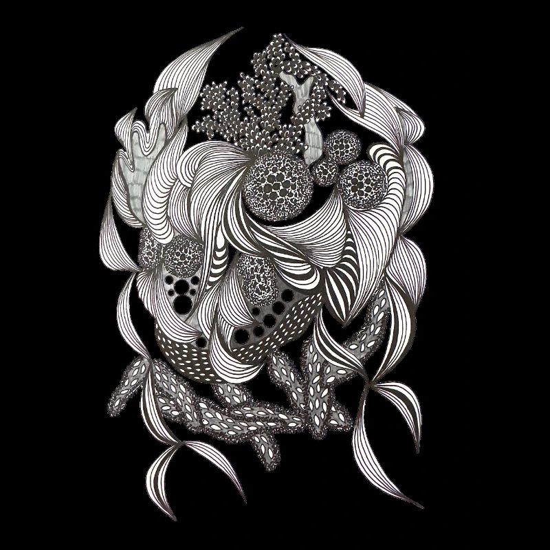 Black and White Flora Pattern