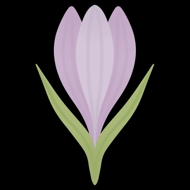 Illustration de la fleur de crocus lilas