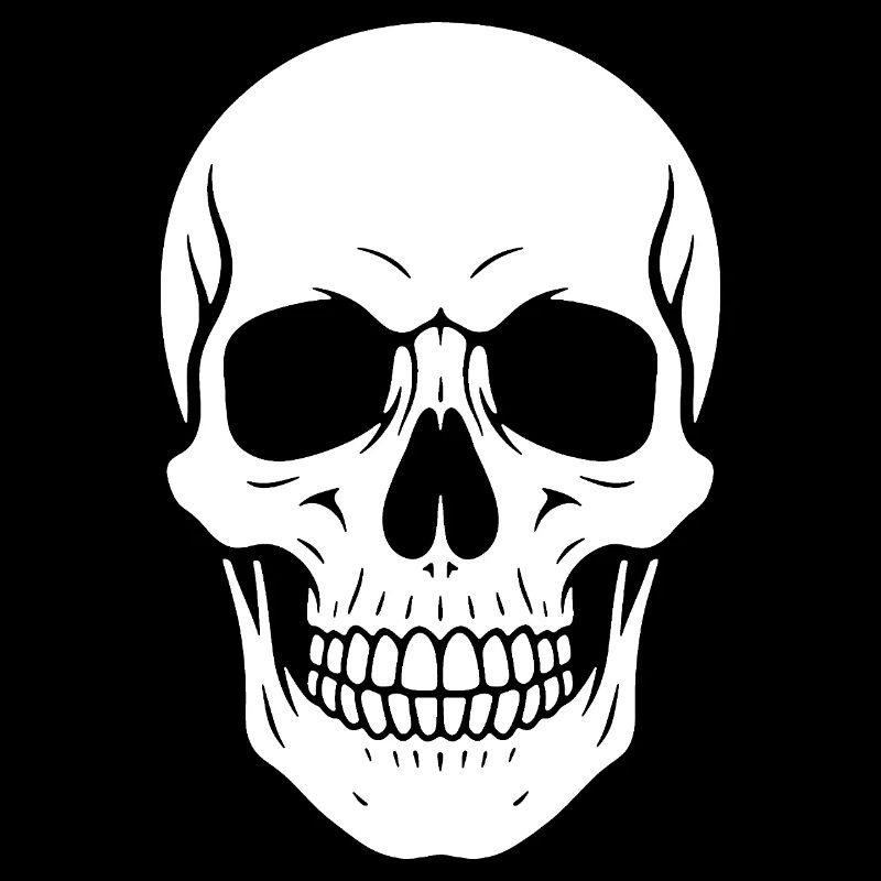 Skull Silhouette Graphic