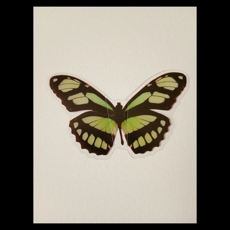 Grüner Schmetterling Patchkunst