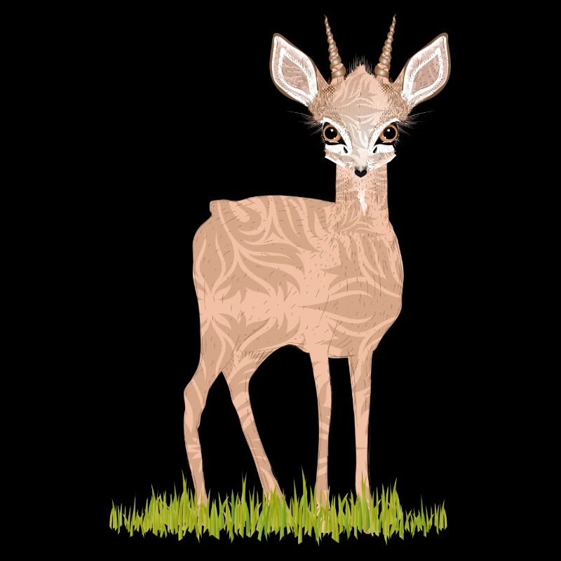 Dwarf antelope Dikdik on a green meadow