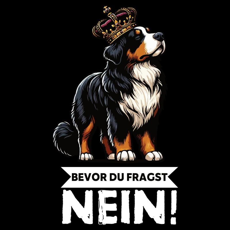 Bevor Du Fragst Berner Sennenhund Sennenhunde 