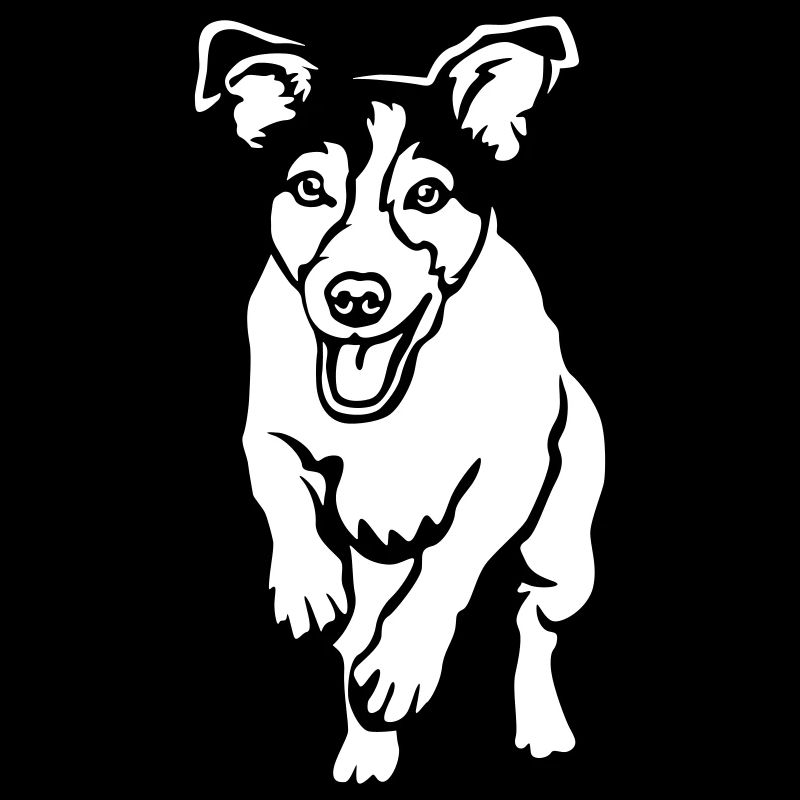 Jack Russell Terrier « Black Edition »