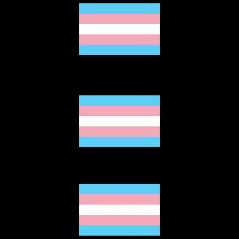Drapeaux de la Fierté Trans
