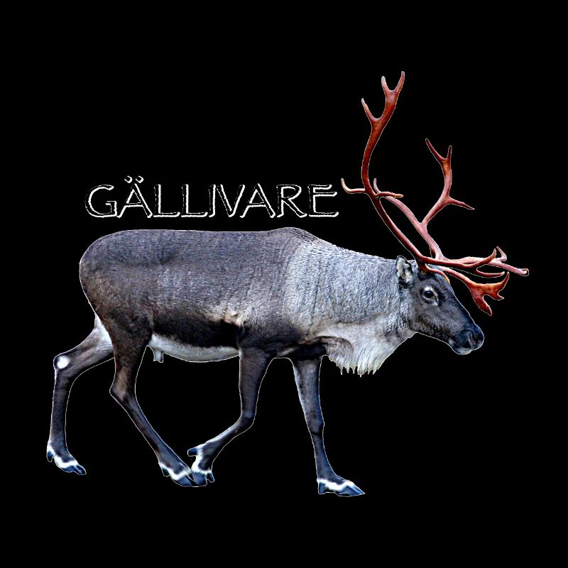 GALLIVARE