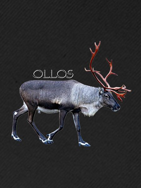 Olostunturi