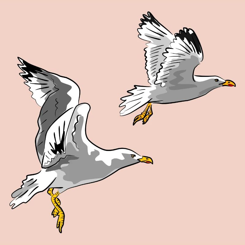 Möwen im Flug Design