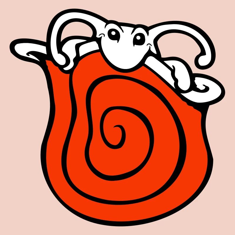 Snail shell snail hides cute shy