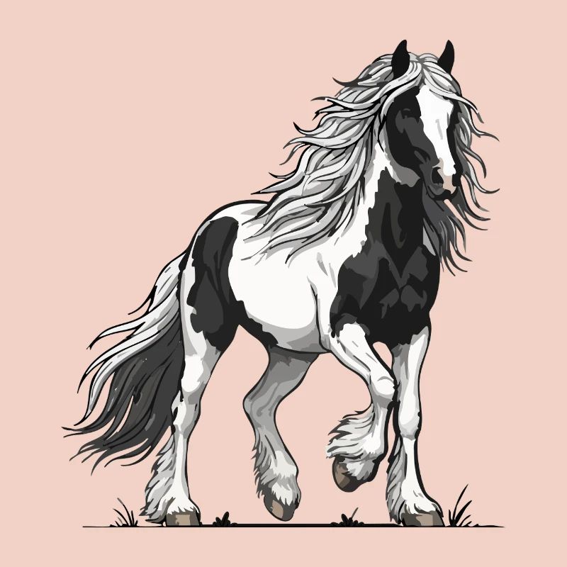 Cheval Pie Noir et Blanc Vanner Équestre