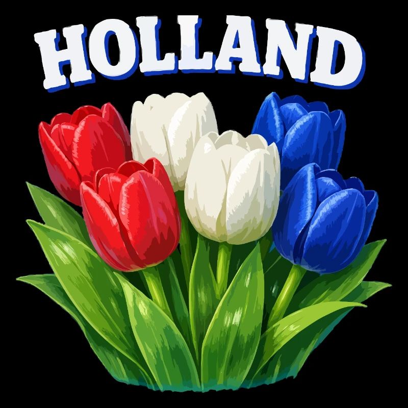 Holland Tulips Three Colors