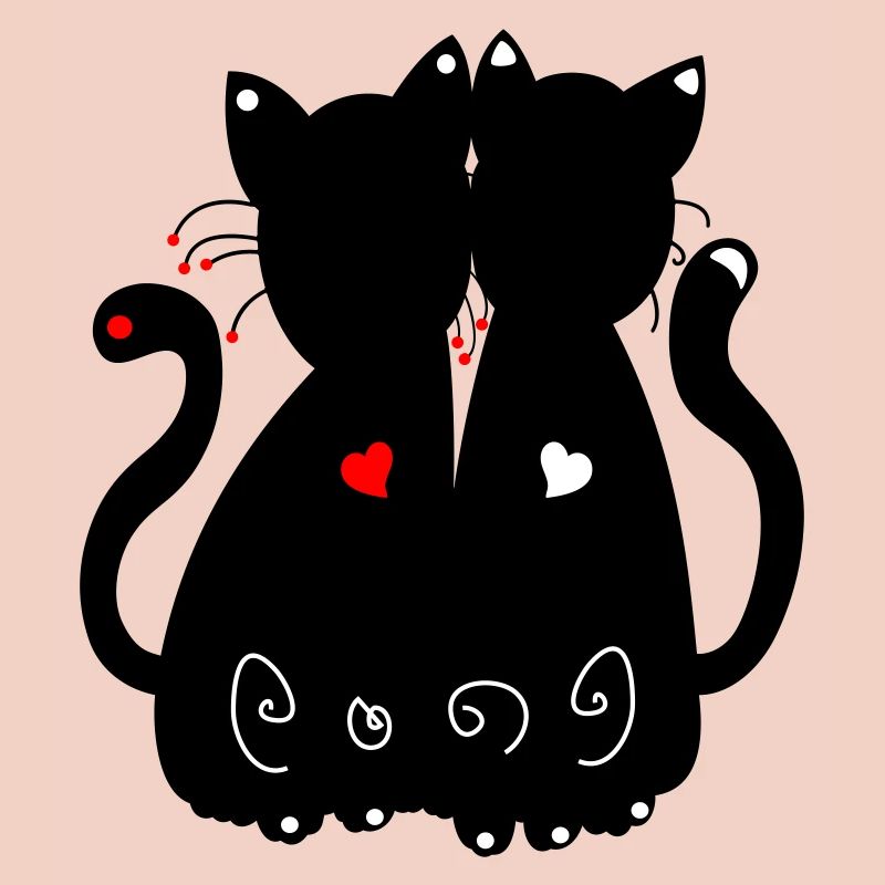 schwarze Katzen