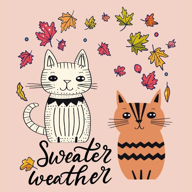  Katzen im Herbstlaub