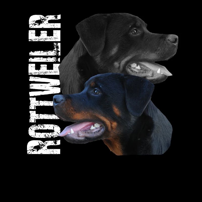 Rottweiler chien de garde chien de combat chiens de lutte