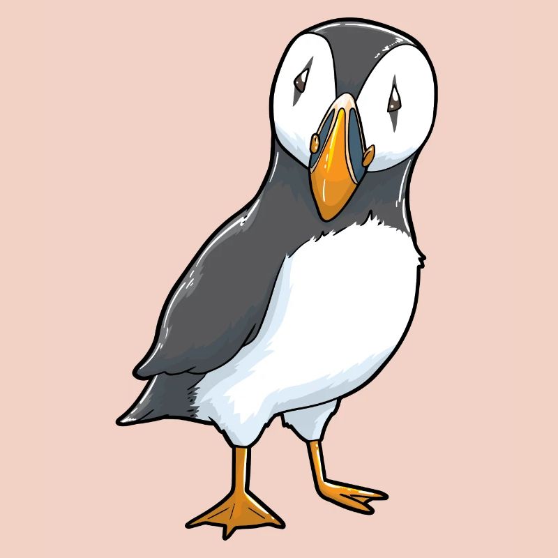 Papageitaucher Puffin