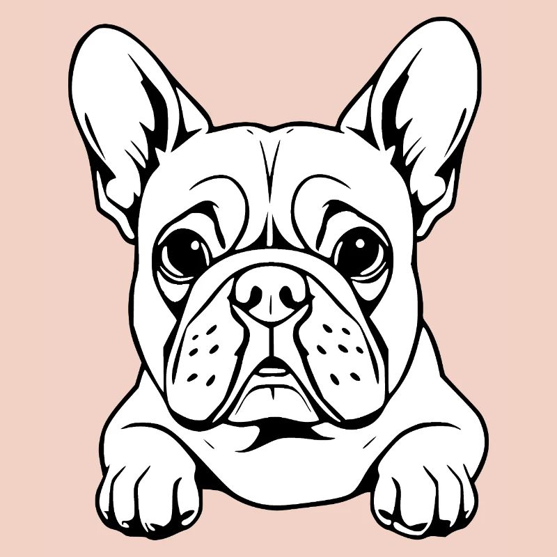 Bouledogue blanc