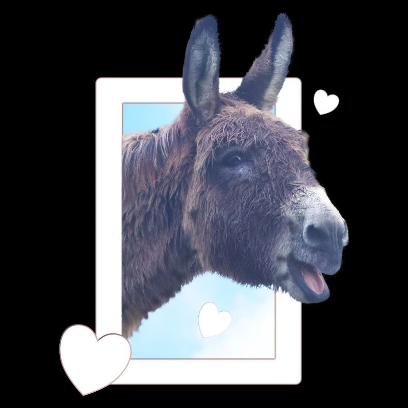 Cute donkey peeks through the window heart