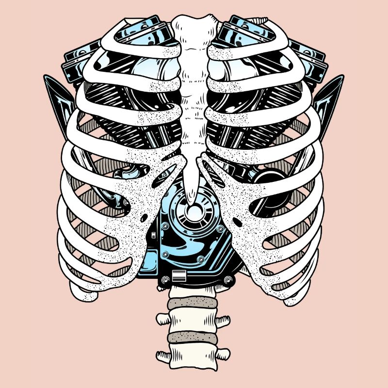Ribcage Circuit Engine Motorcycle Mechanic