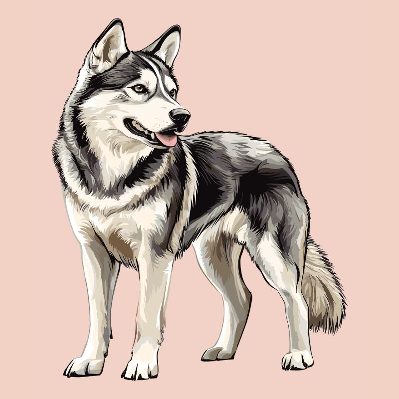 Husky Portrait