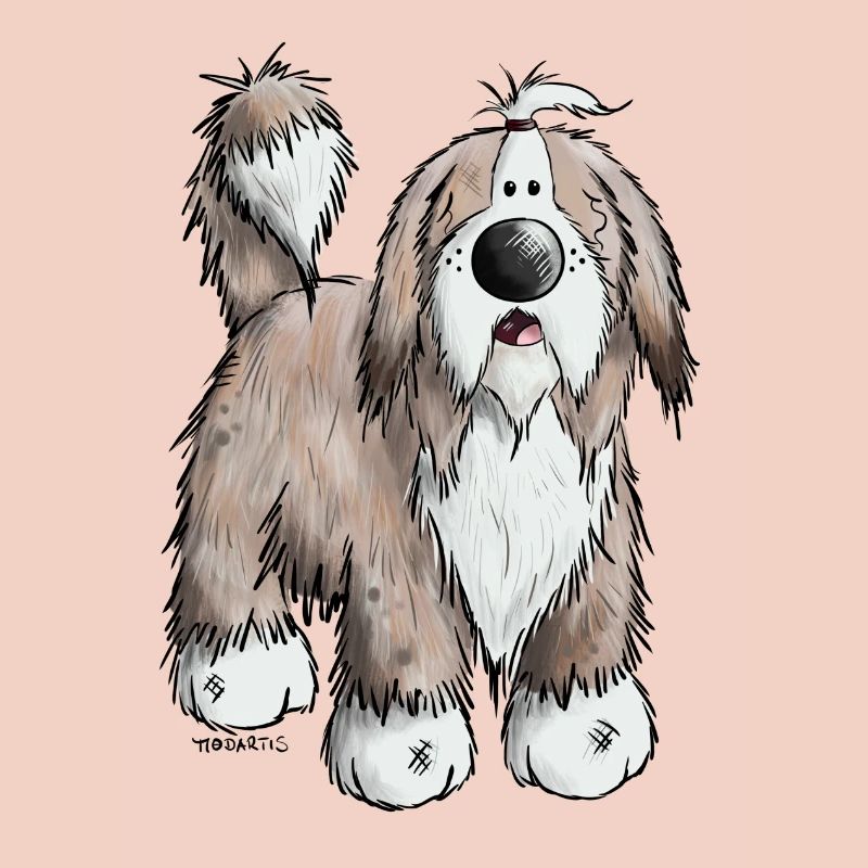 The Bearded Collie