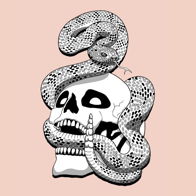Serpent à sonnette et crâne