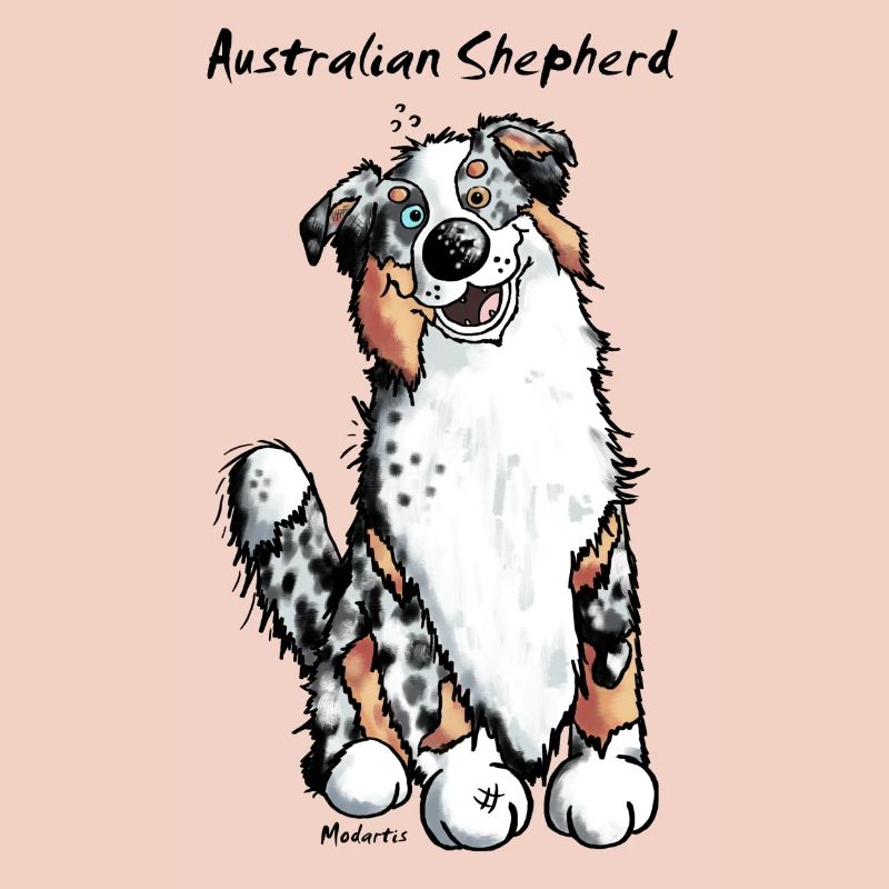 Witziger Australian Shepherd