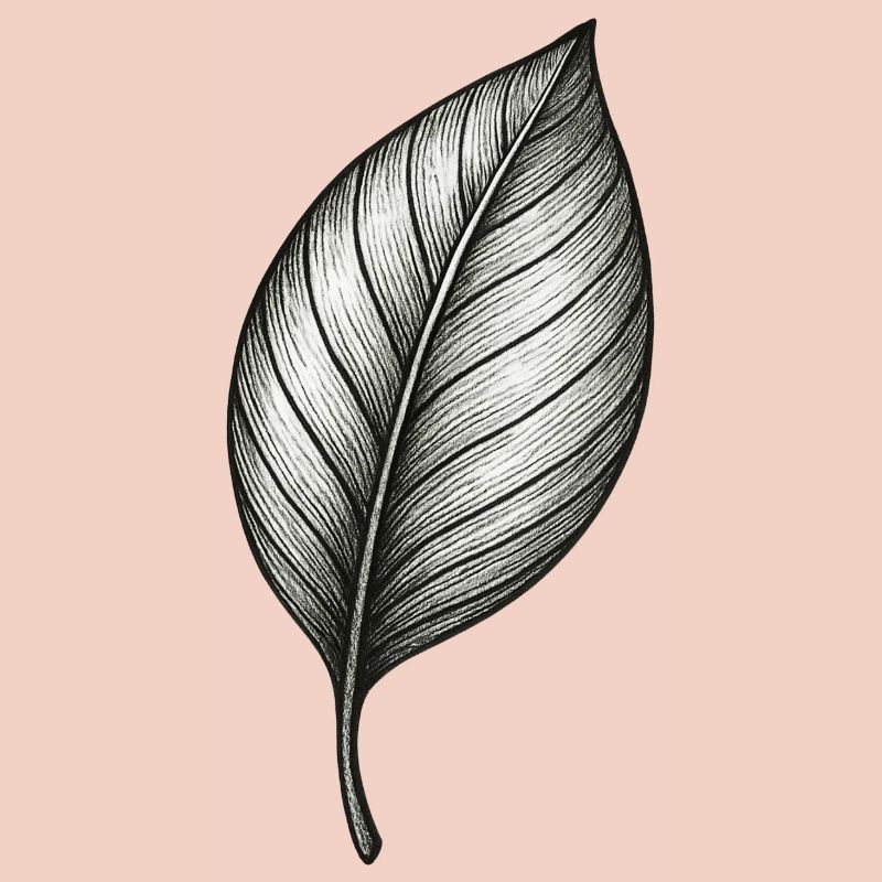 Monochromes Blattdetail