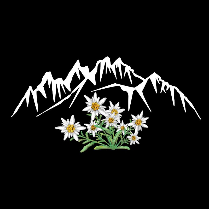 Alpen Edelweiss devant le groupe de montagnes
