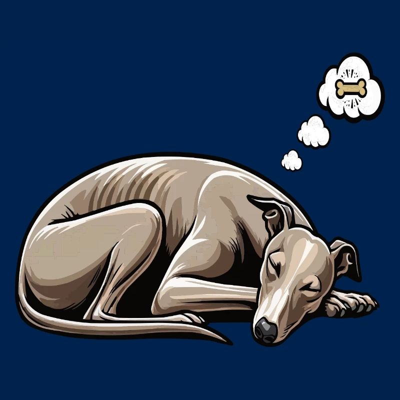 Whippet Greyhound Whippets Propriétaire de lévrier