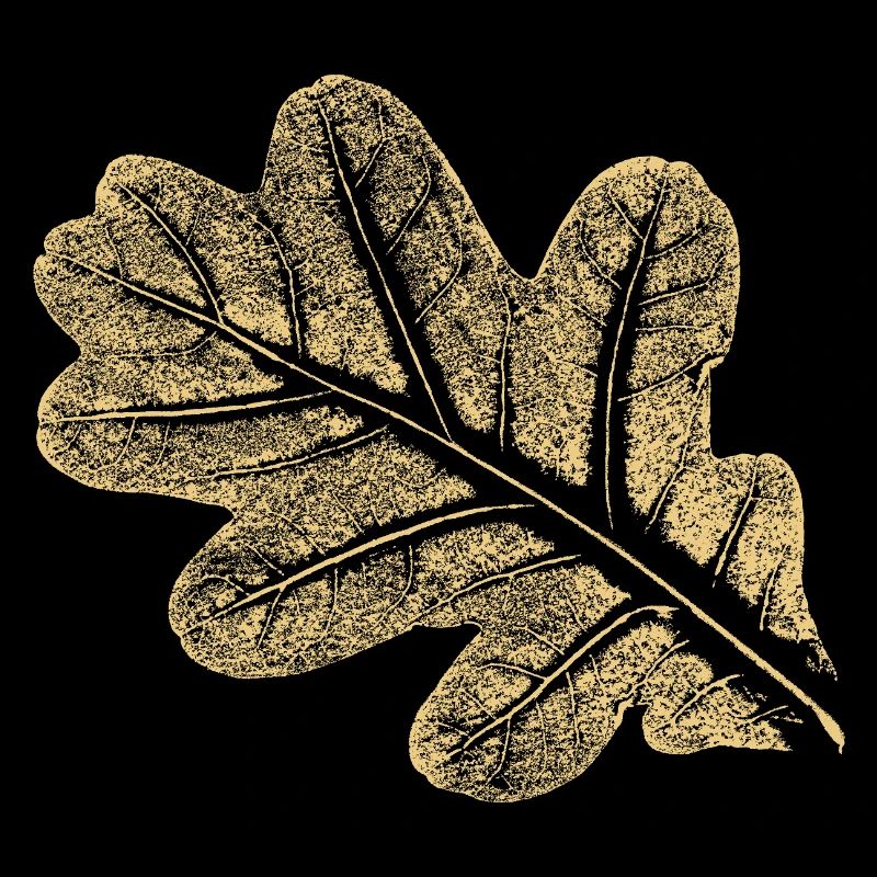 Blatt - Eiche / Botanik & Natur 