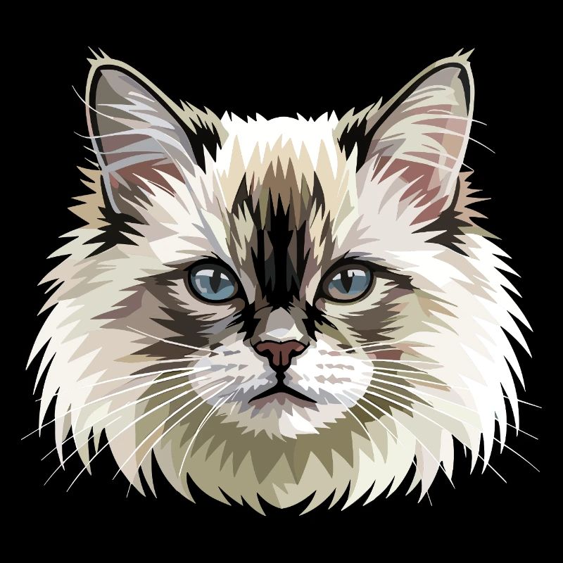 Chat Birman Chat Birman Sacré Chat Birman Mignons Chats Birman