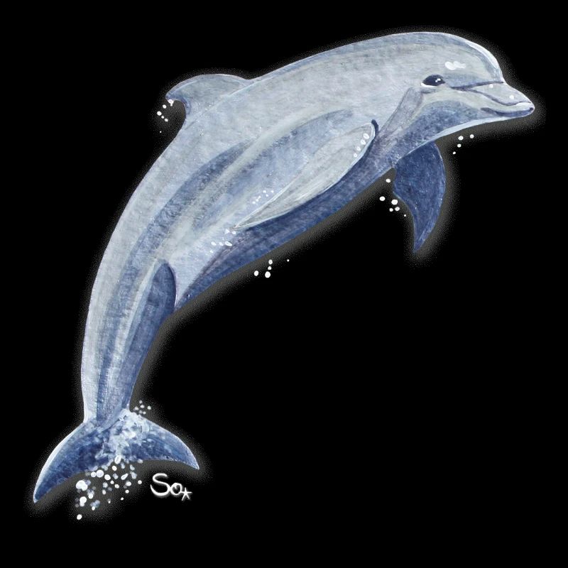 Delfin Glückssprung - Sonja Ariel von Staden