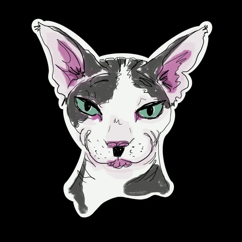 Sphynx Cat Fernando