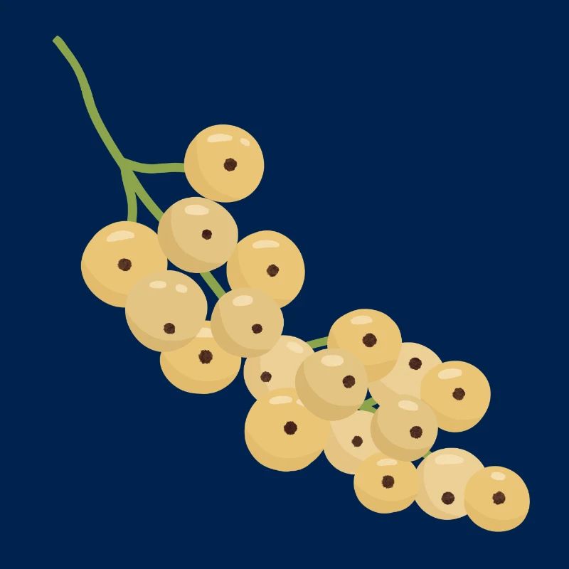 Illustration de grappe de groseille blanche