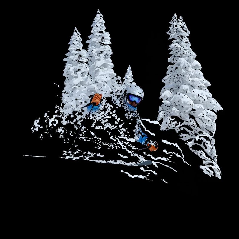 Ski