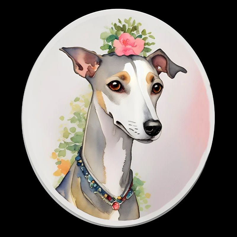 Whippet
