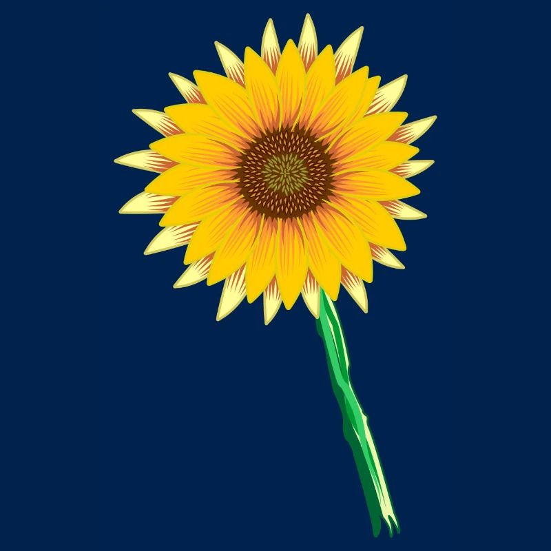 Sonnenblume
