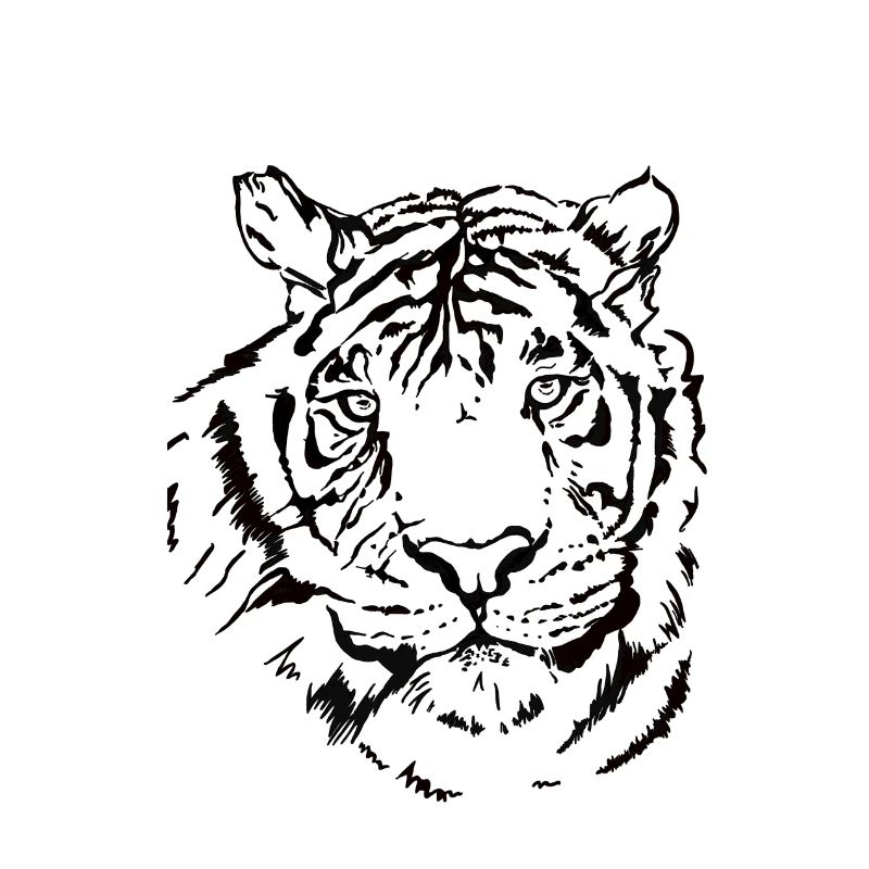Handgezeichneter Tiger
