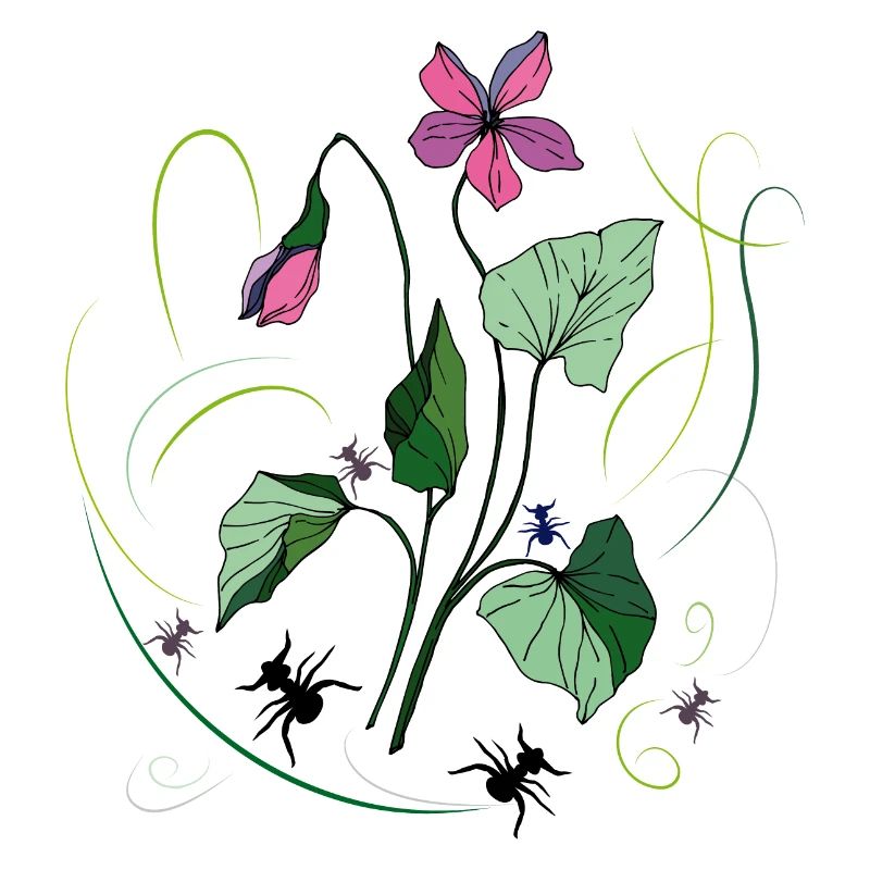 Blume mit Ameisen