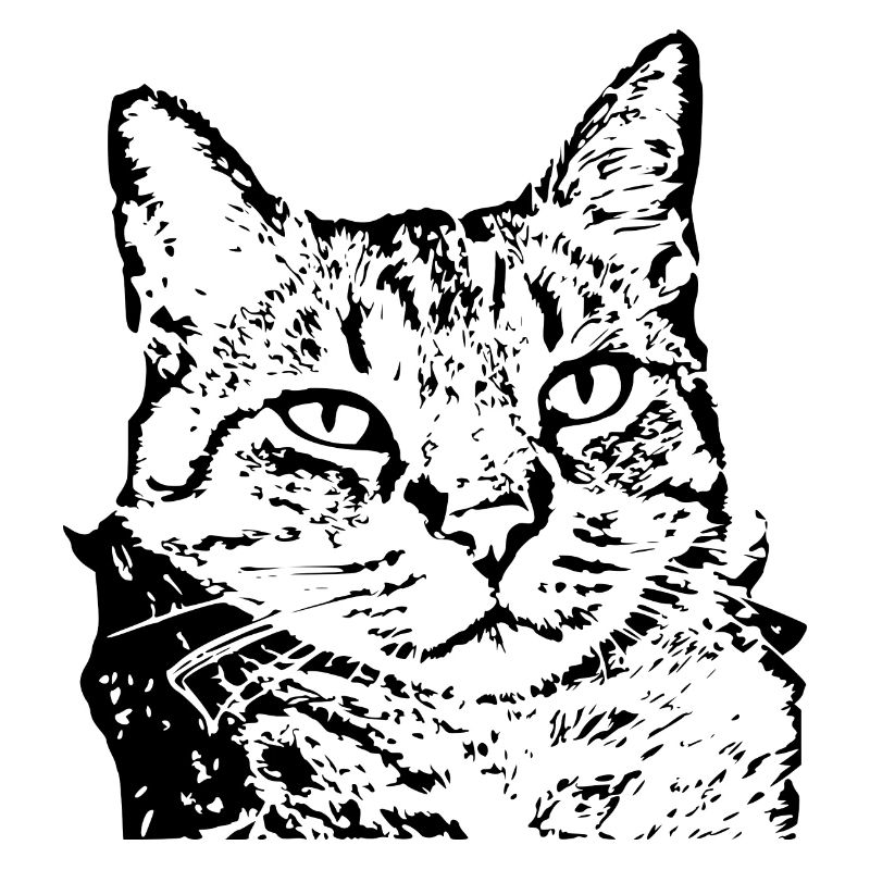Katze Tigerkatze Katzenshirt Geschenk