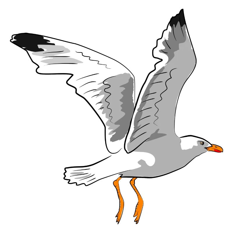 Stilvolle Möwe im Flug