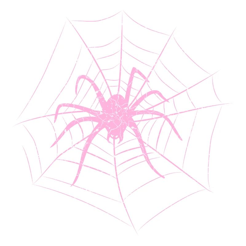 Spinne im Netz Halloween
