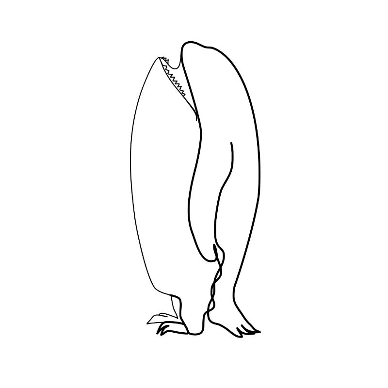 Orca Pinguin