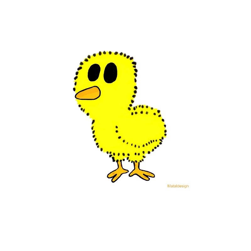 Küken / hatchling